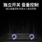 得胜(TAKSTAR) TS-6310HH无线话筒一拖二 KTV家用唱歌专业麦克风