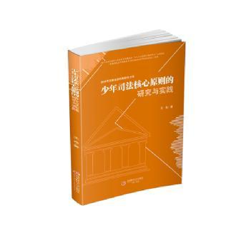 音像少年司法核心原则的研究与实践王亮著