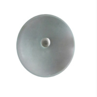 SY-Kejing 玻璃磨盘（平盘） Φ203mm