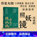 标准 【正版】历史的照妖镜 烟雨 萧十一著 以岳飞之死为镜像 多维度剖析权力游戏与人性大戏 历史知识读物六神磊磊馒头飞