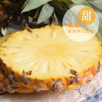 现摘香菠萝 新鲜菠萝4.5斤(拍2件合并发1箱)