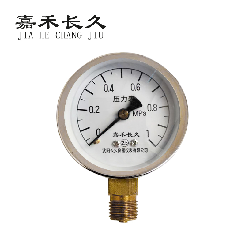 嘉禾长久+压力表检测定制型+Y40+块