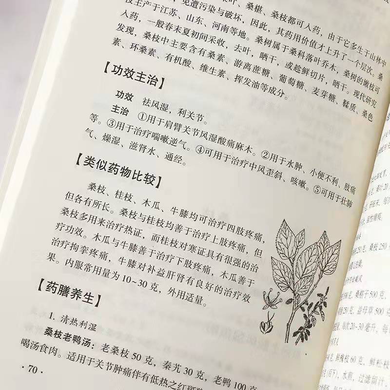 [醉染正版]中草药鉴别与应用 家庭实用百科全书养生大系 中医养生保健 家庭常见病的预防与治疗高清大图
