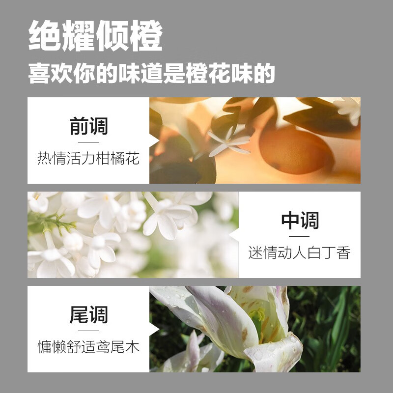 柏缇茶树去屑洗发露 止痒控油蓬松男女士洗头膏 氨基酸洗发水 650ml高清大图