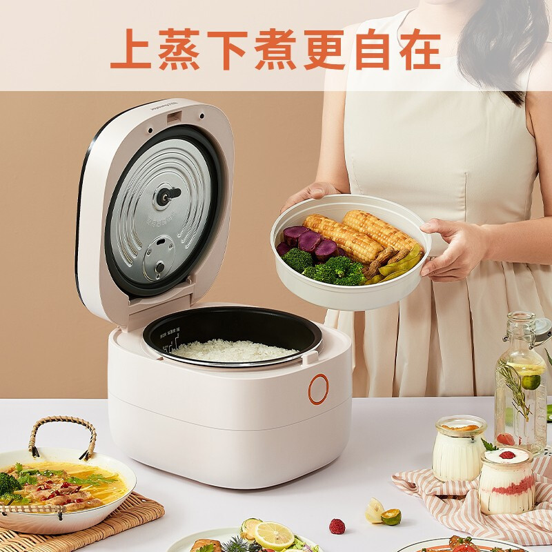 九阳(Joyoung)电饭煲家用4L大容量电饭锅多功能智能预约柴火饭煲汤煮米饭焖炖5-8人 F40FY-F504