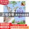 正版 你笑起来可爱极了 (爱尔兰)山姆·麦克布雷尼著 文化发展出版