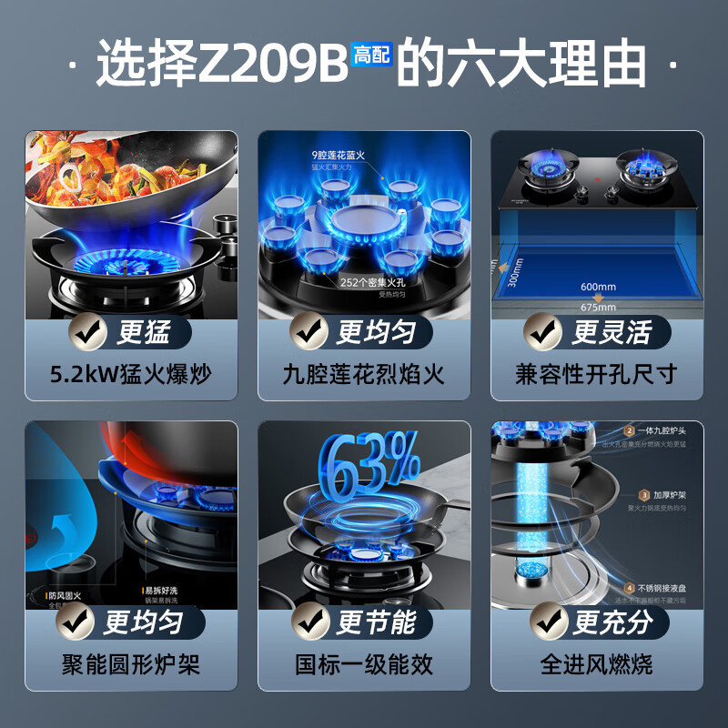 创维 燃气灶煤气灶双灶家用 5.0kW九孔聚能猛火鸳鸯灶具 台式/嵌入式 钢化玻璃灶台 Z209B液化气