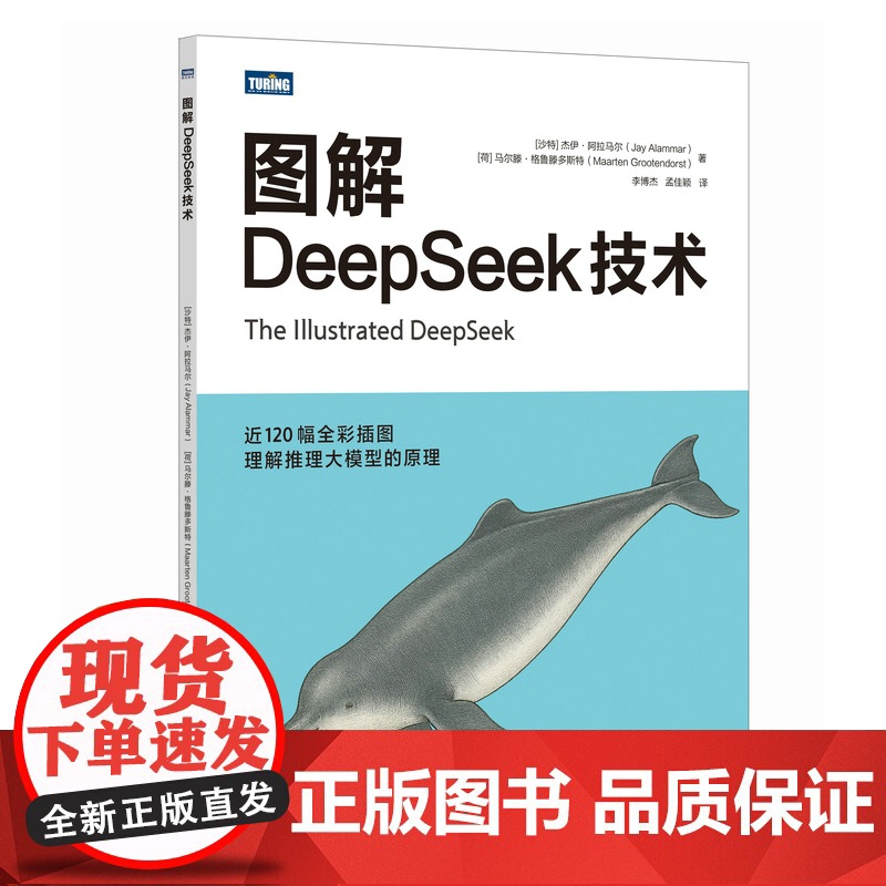 图解DeepSeek技术 预计发货07.26高清大图