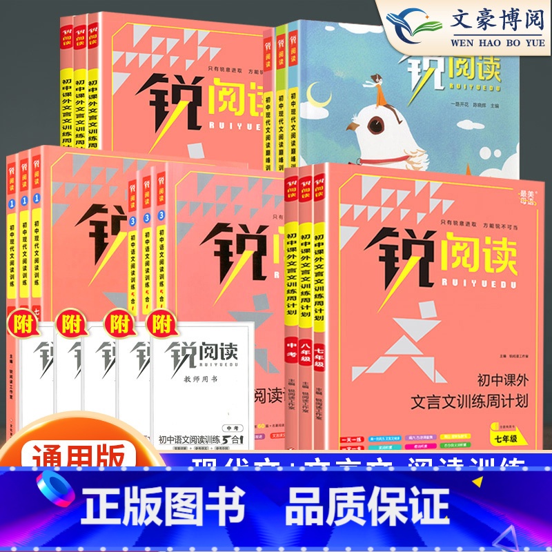 现代文阅读训练100篇 七年级/初中一年级 [正版]锐阅读初中语文阅读训练五合一七年级八年级九年级中考现代文阅读理解训练