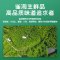 雀淘 皖南黄油老母鸡2.6-2.9斤/只 1只装 冷冻净膛慢养走地鸡