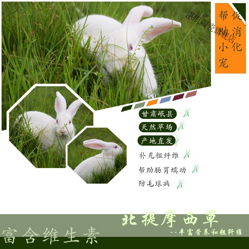 新头茬烘干提摩西草段草兔粮干草龙猫荷兰猪牧草磨牙甘肃