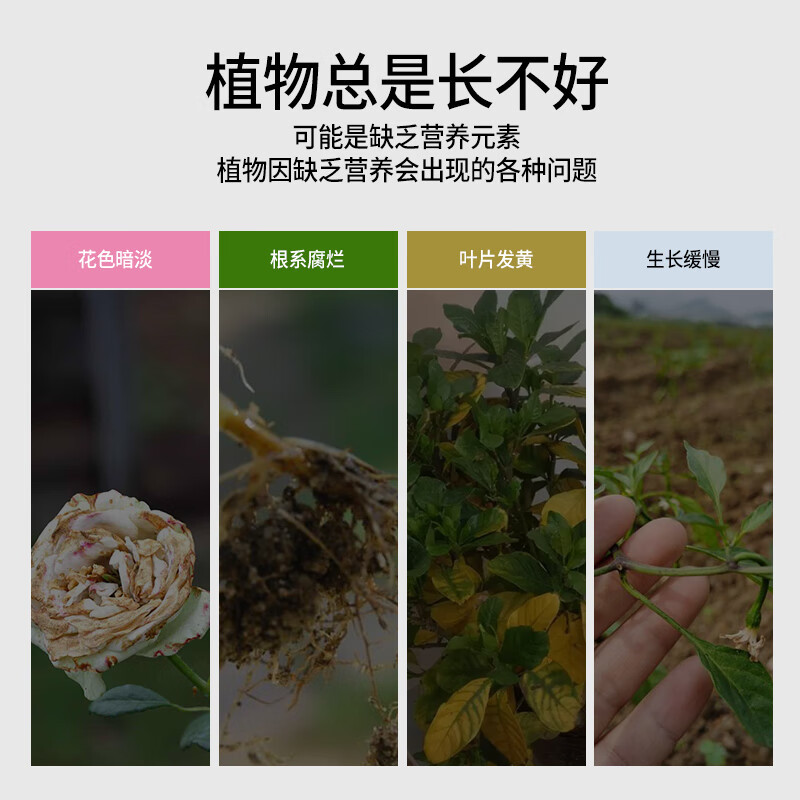 德沃多肥料 600ml*2+喷壶*1 @植物浓缩营养液 (计价单位:套)高清大图