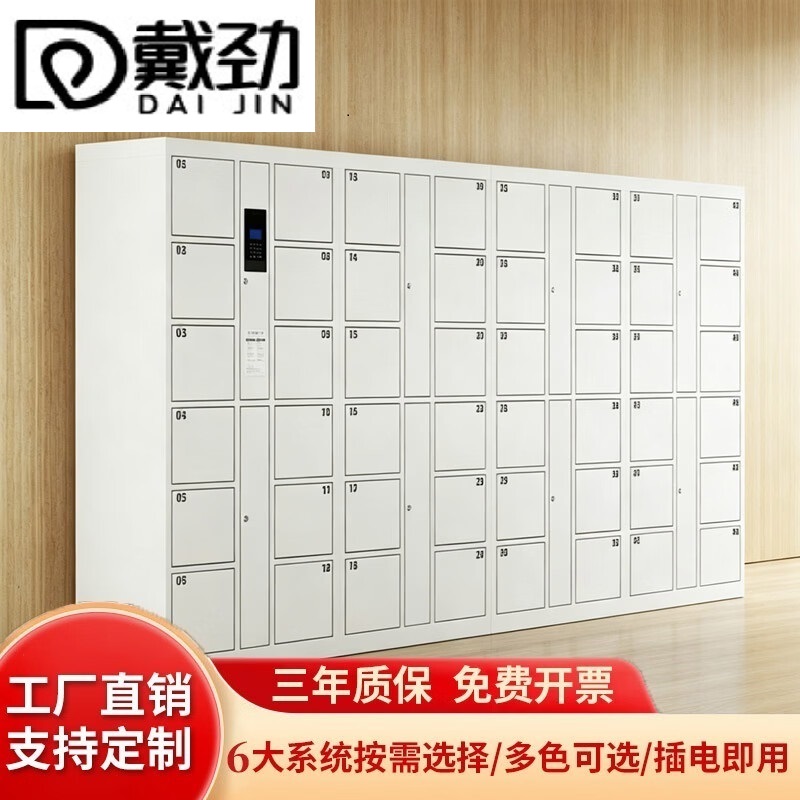 戴劲 智能电子存包柜商场超市物品寄存柜铁皮储物柜 48门自编密码款