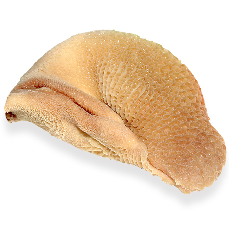 牛肚内蒙新鲜冷冻生的千层肚鲜牛百叶涮毛肚牛杂火锅食材邮1kg