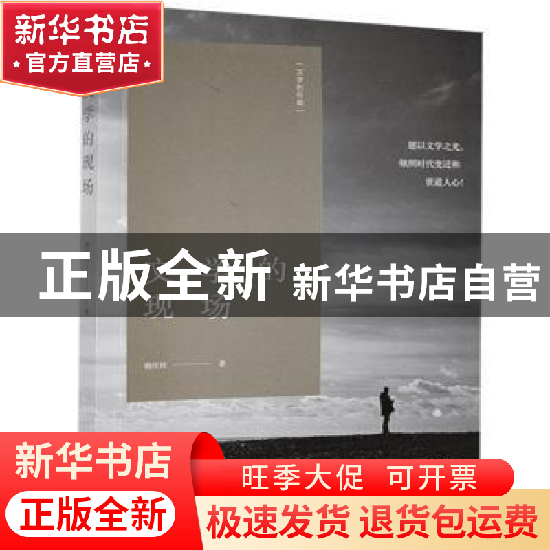 正版 文学的现场/文学的可能 杨庆祥 江苏凤凰文艺出版社 9787559高清大图