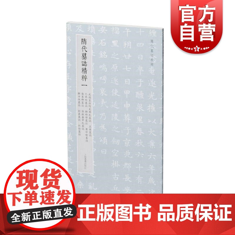 隋代墓志精粹一武德皇后阿史那氏王升乙弗明郑祁耶萧妙瑜张宪卿张振妻韦氏解方保刘豪杜佑 本社编上海书画出版社精选书法资料鉴赏高清大图