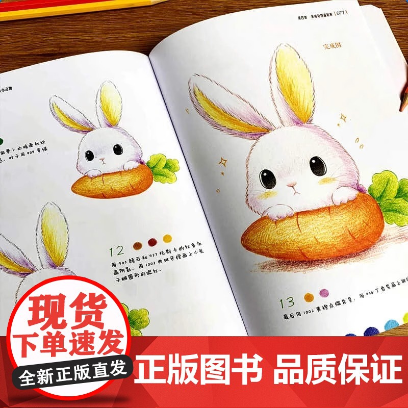 正版 我的彩铅好有趣 萌系小动物 铅笔素描如此简单基础 彩色铅笔画入门教程素描零基础书籍儿童美术教材彩铅画临摹画册 湖北高清大图