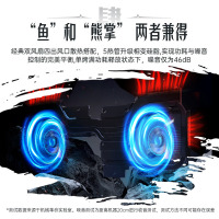 机械革命 翼龙15 Pro 15.3英寸超长续航电竞AIPC轻薄本游戏本定制笔记本电脑(全新锐龙R7-8845H 64G内存 1TB固态 RTX4060 8G独显 2.5K)云涧白