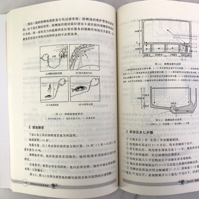 [醉染正版]轻轻松松池塘养锦鲤 轻松养殖致富系列 池塘养鱼观赏鱼养殖技术大全书籍观赏鱼常见疾病防治实用喂养护理饲养书籍入高清大图