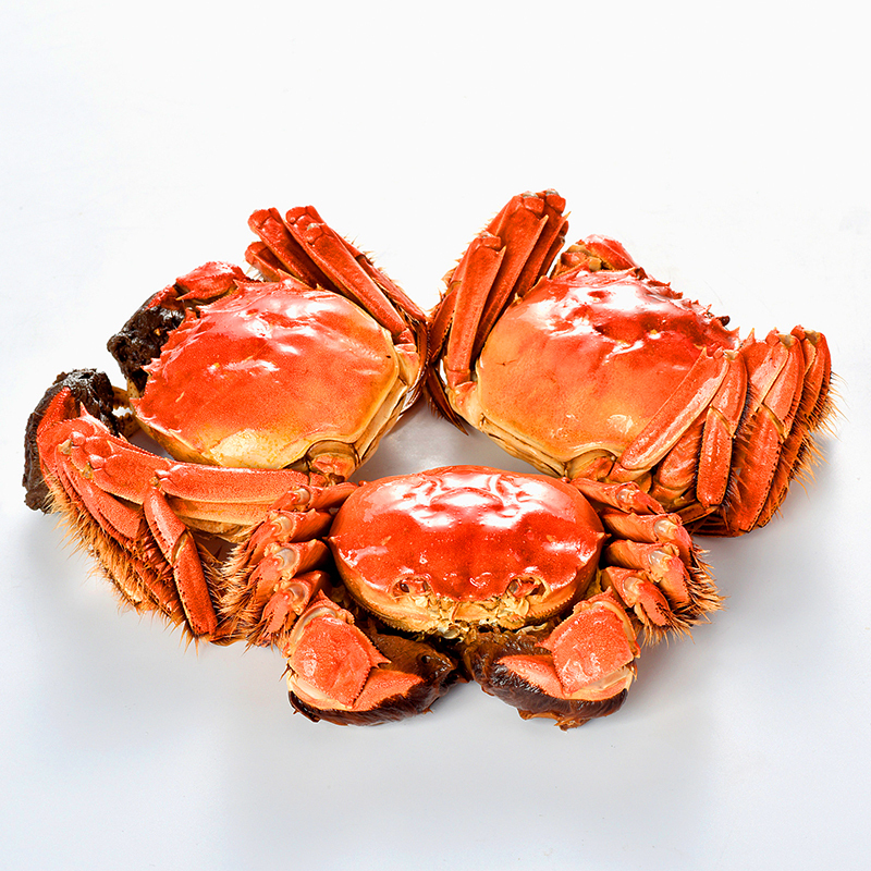 [活蟹]蟹灵阁阳澄湖大闸蟹礼盒 鲜活螃蟹河蟹公母蟹河鲜 公4.5两 母3.