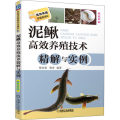 泥鳅高效养殖技术精解与实例