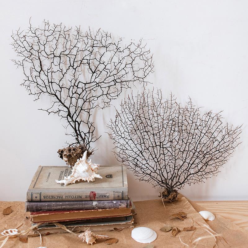 家柏饰(CORATED)海的 珊瑚树 海铁树 装饰摆件花艺搭配鱼缸造景 海树珊瑚A款高清大图