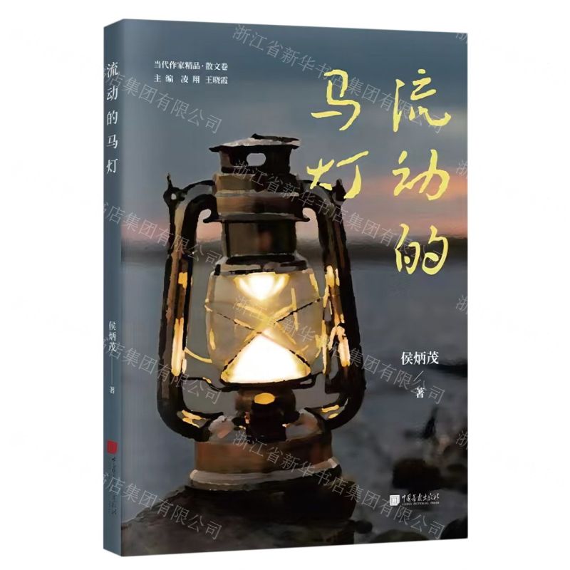 [N]流动的马灯/当代作家精品-9787514621181高清大图