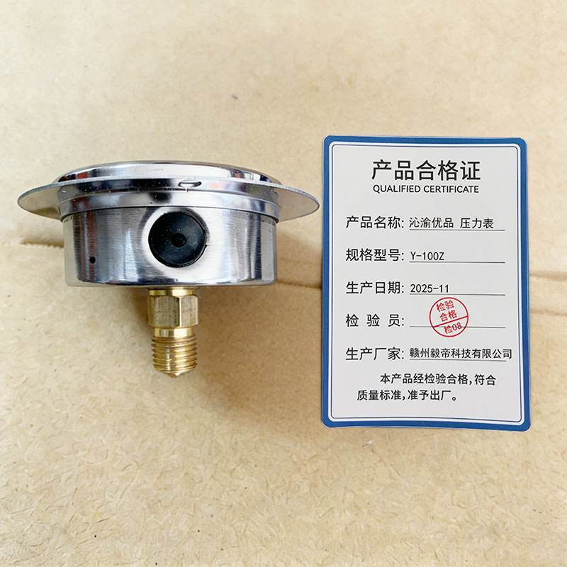 沁渝优品 压力表 Y-100Z 个高清大图