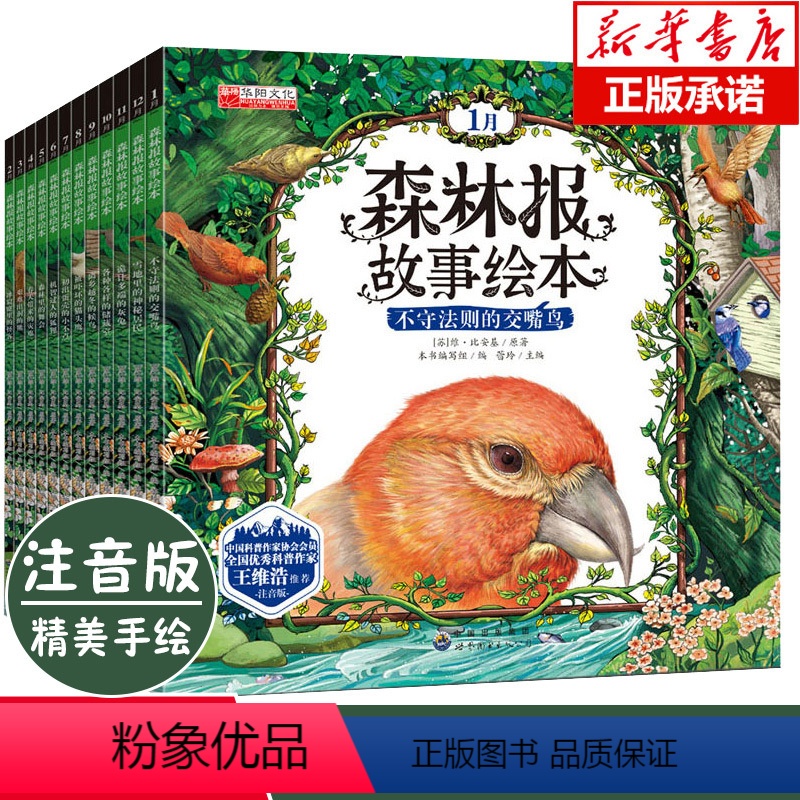[正版]森林报故事绘本全套12册 春夏秋冬 幼儿童绘本图画故事书彩图注音版6-7-8-9-12岁一二三年级课外阅读书籍