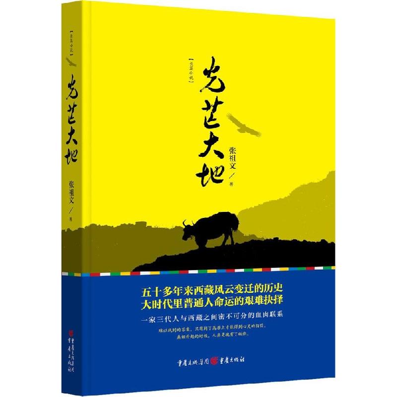 正版新书]光芒大地张祖文9787229093099高清大图