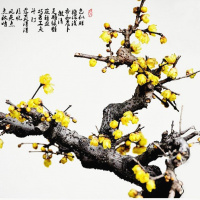梅花盆景树桩盆栽腊梅苗梅花树苗红梅绿梅花卉绿植梅兰竹菊