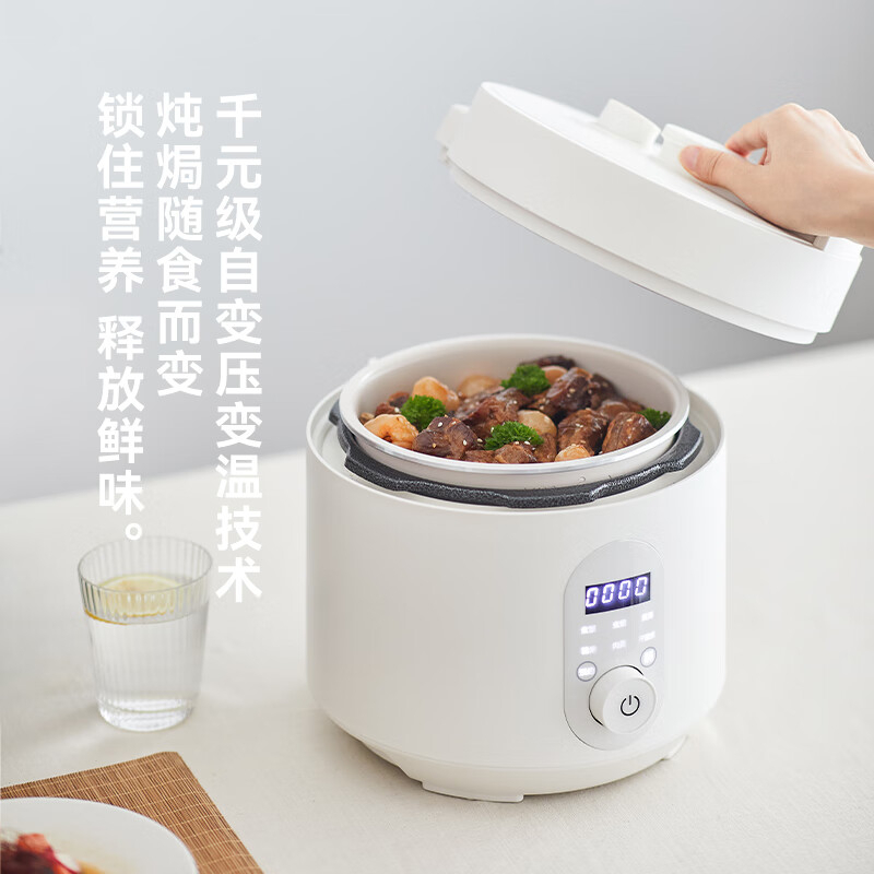 OLAYKS YBW3001B 电压力锅 3L (台)高清大图