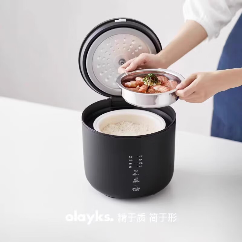 OLAYKS立时迷你电饭煲1到2到3人小型电饭锅家用2升OLK-20C 岩黑色(带304蒸笼) 2LZNFB03006