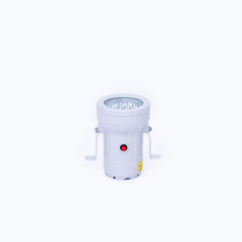 ZHEGUANRONG/浙冠荣灰色led视孔灯 GRDS-10W 个