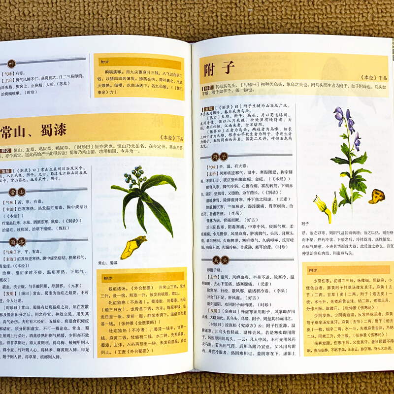 [正版]全5册彩绘精装 本草纲目原版全套李时珍黄帝内经汤头歌诀千金方神农本草经伤寒论皇帝内经中医基础理论中草药彩图大全