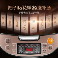 苏泊尔（SUPOR）CFXB30FC866-60 电饭煲电饭锅3L容量球釜内胆炫彩摩卡金智能电饭煲