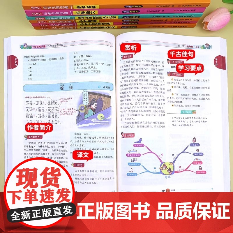 学之舟小学知识通语文数学英语全彩版文言文必背古诗词常用成语初中通用中考知识专项强化训练小升初通用课外工具书教材知识点归纳高清大图