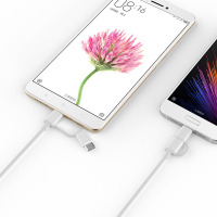 ZMI（紫米）USB数据线Type-C＆MicroUSB二合一数据线（黑）