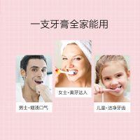 喜马拉雅粉盐牙膏去去口臭口气清新护龈学生男女家庭装 防蛀护龈(冰爽雪莲)100G