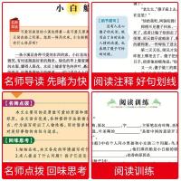 稻草人书 叶圣陶儿童文学小学生1-6年级二三四五六年级课外书必读 稻草人[特价 注音版]