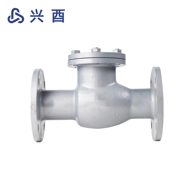 兴酉 铸钢法兰止回阀 DN15 个高清大图