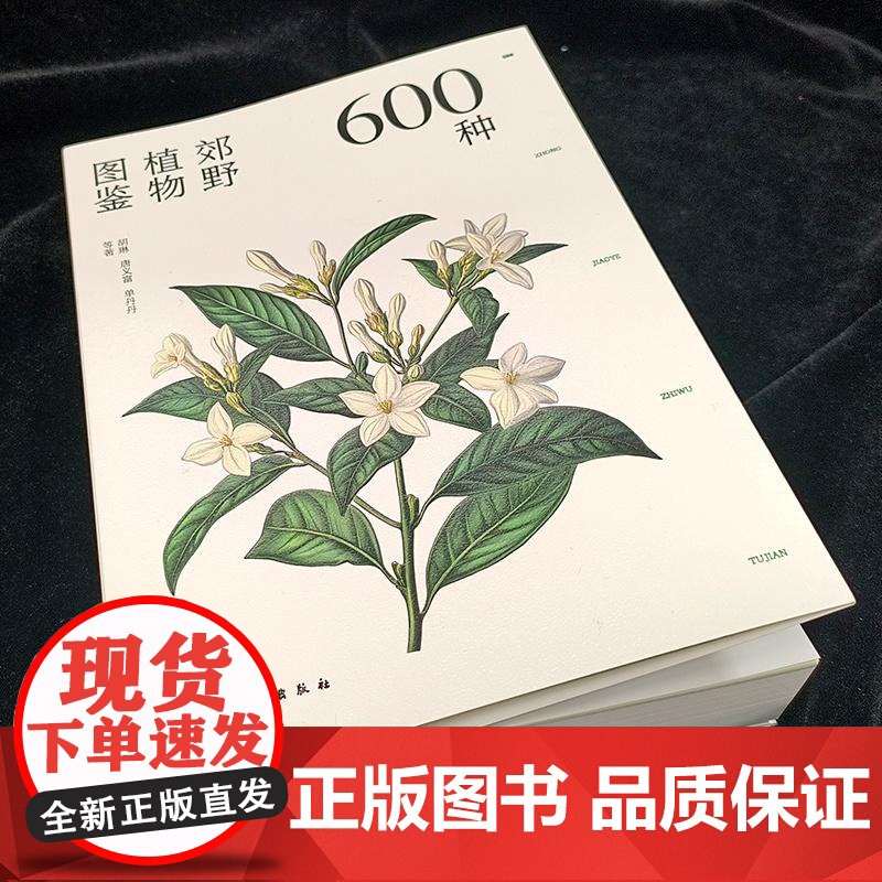600种郊野植物图鉴 常见植物野外识别 植物识别大百科 野外实拍彩图 树形枝叶植物花卉种子观察图鉴风景郊野旅游植物科普大高清大图