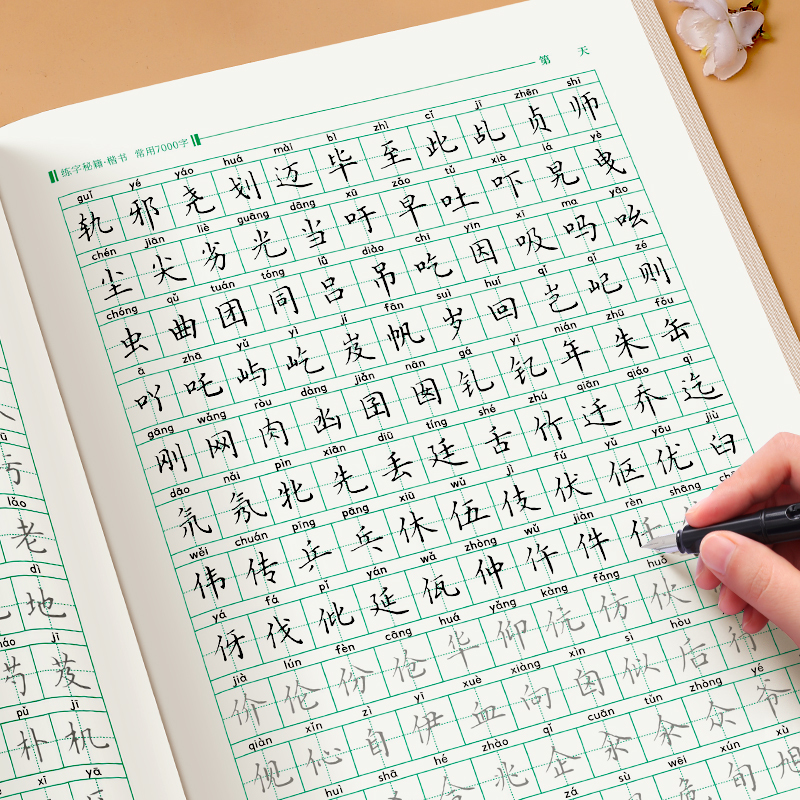 楷书速成全套6本[送黑色正姿钢笔一支+黑色墨囊12支] [正版]楷书练字帖小学生行楷基础入门速成钢笔硬笔字帖书法练字本初