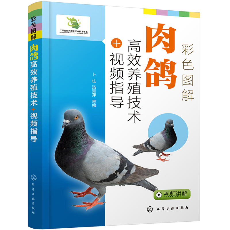 [醉染正版]彩色图解肉鸽养殖技术+视频指导 9787122403926 卜柱 汤青萍肉鸽选种 疾病防治 肉鸽营养饲料 养高清大图