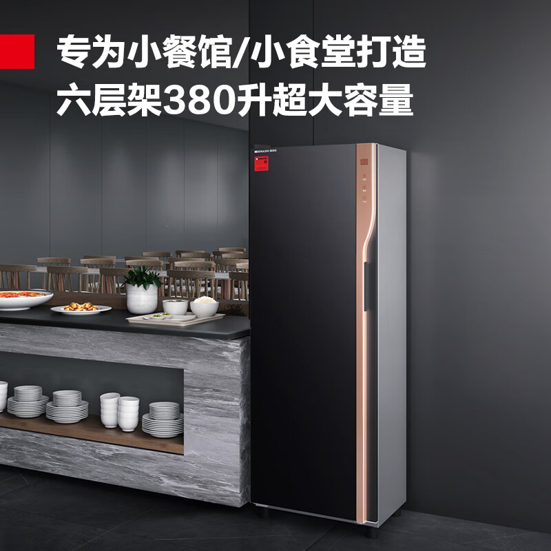德玛仕DEMASHI消毒柜商用立式紫外线消毒家用厨房餐厅酒店专用碗筷餐具XDZ380-F3(原XDZ380F-3)高清大图