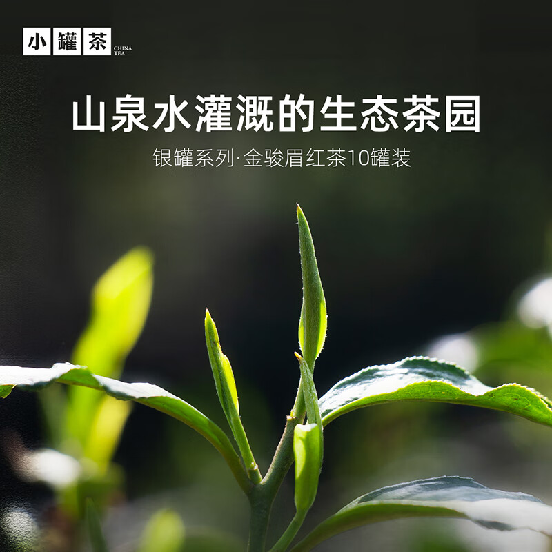 小罐茶(XIAO GUAN TEA) 银罐系列 金骏眉红茶 40g(4g*10)(单位:盒)三种包装随机发货高清大图