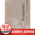 风湿病中医临床诊疗丛书(纤维肌痛综合征分册)