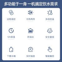 大宇(DAEWOO) 防溢水茶吧机家用全自动智能防干烧冰热双出水带遥控下置水桶一体门板立式饮水机新品[冰热型 水满即停]
