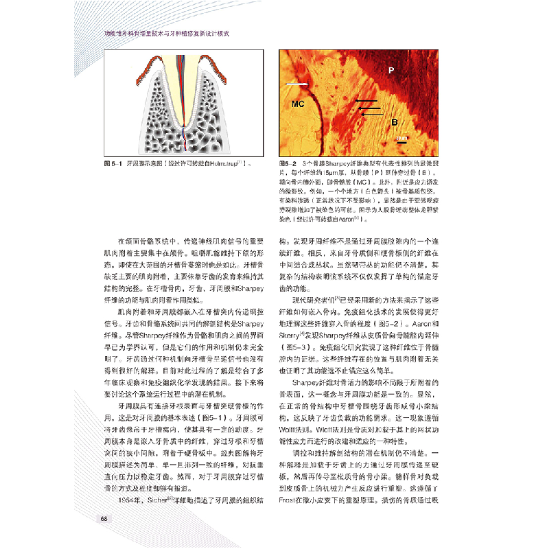 醉染图书功能外科骨增量技术与牙种植修复新设计模式9787559117高清大图