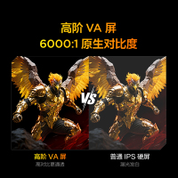 雷鸟鹏6 24款 65英寸电视 家电国家补贴 3+64GB电视机65S375C-JN